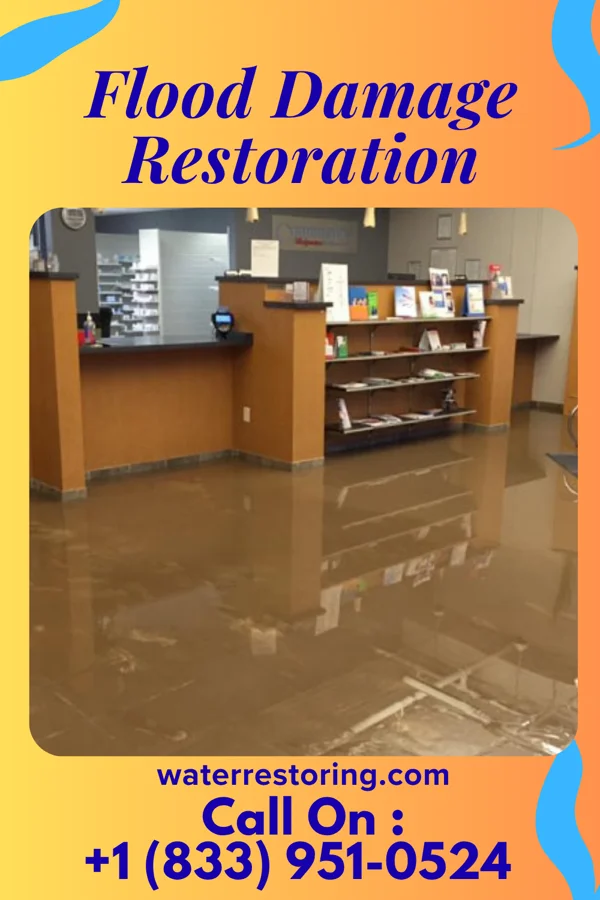 Flood Damage Restoration in Clarksburg, WV