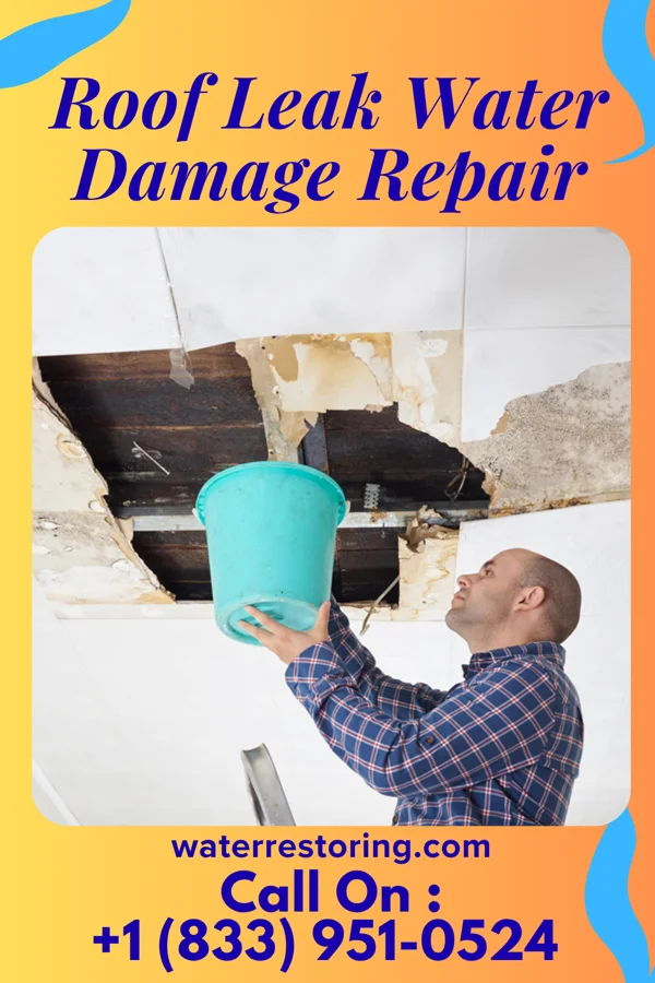 Roof Leak Water Damage Repair in Clarksburg, WV