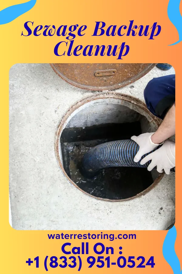 Sewage Backup Cleanup in Clarksburg, WV