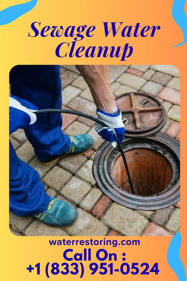 Sewage Water Cleanup in Clarksburg, WV