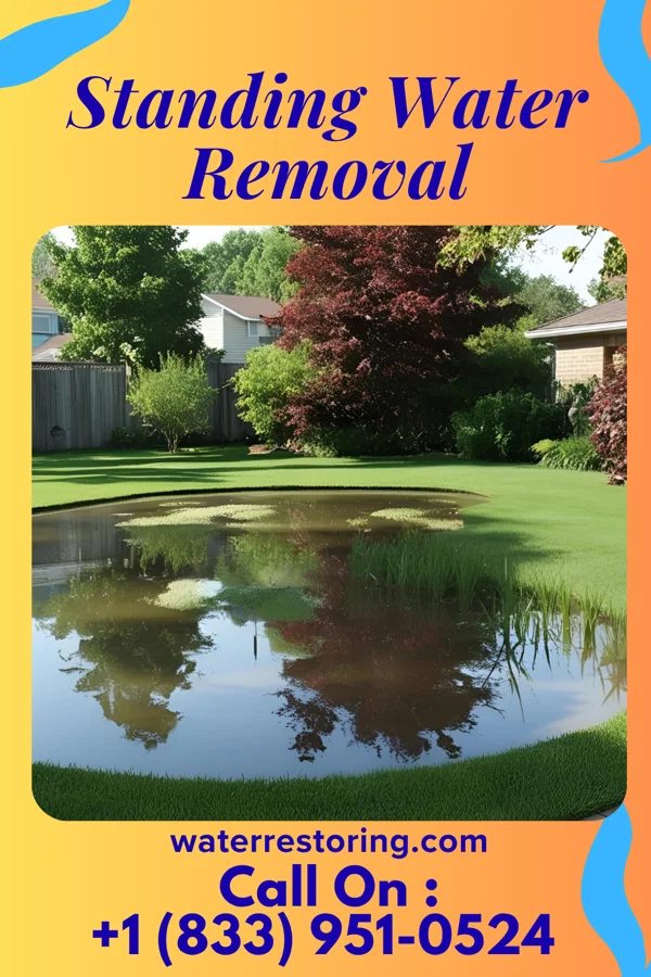 Standing Water Removal in Clarksburg, WV
